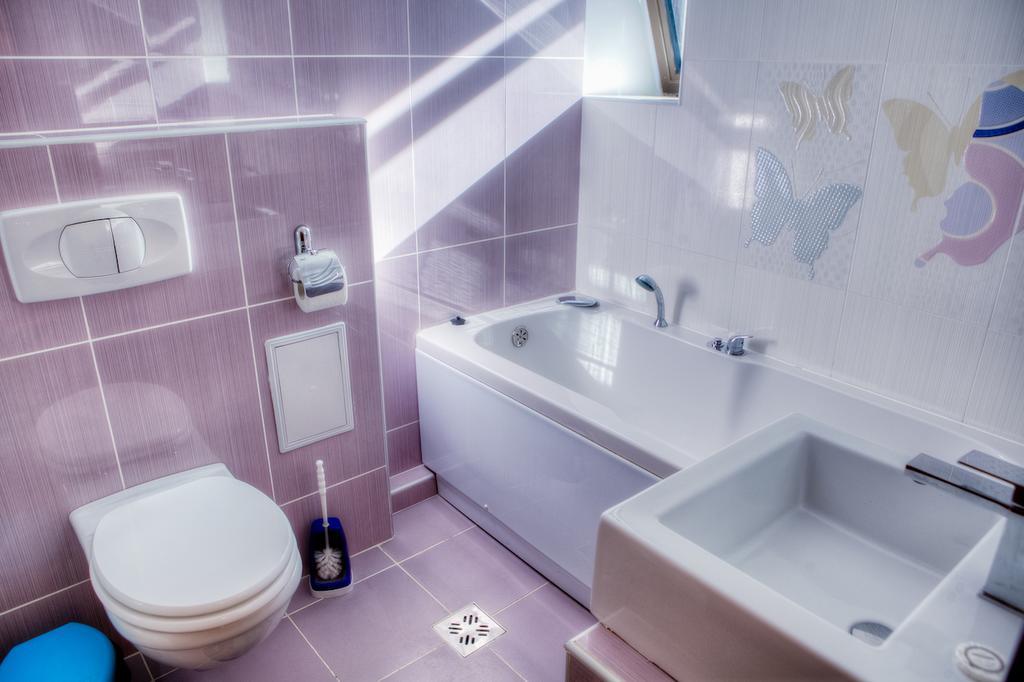 Vila Pinul Si Mesteacanul Otel Poiana Braşov Dış mekan fotoğraf