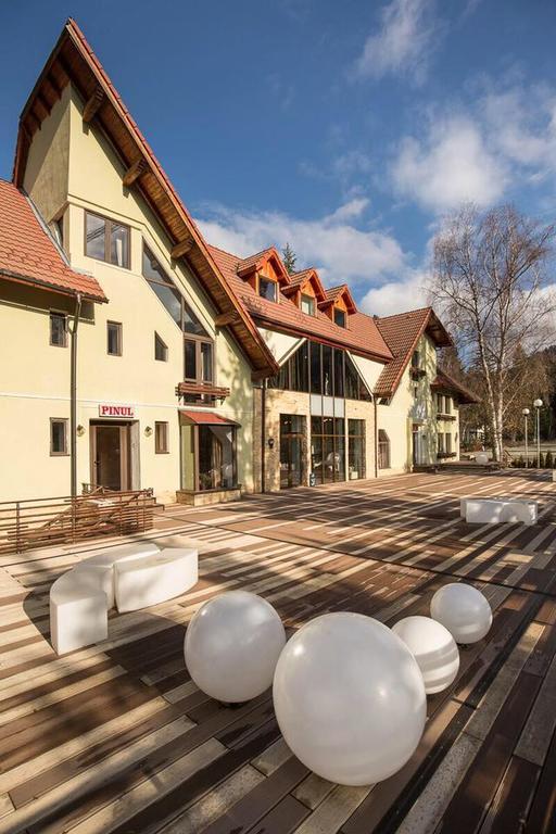 Vila Pinul Si Mesteacanul Otel Poiana Braşov Dış mekan fotoğraf