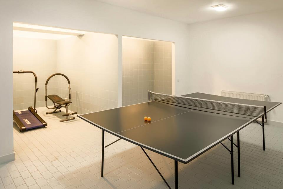 Vila Pinul Si Mesteacanul Otel Poiana Braşov Dış mekan fotoğraf